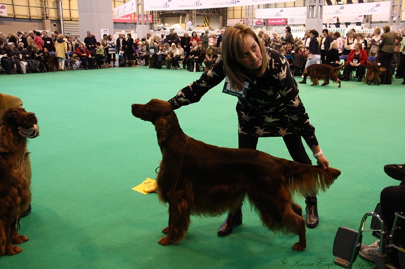 Crufts2011_2 097.jpg